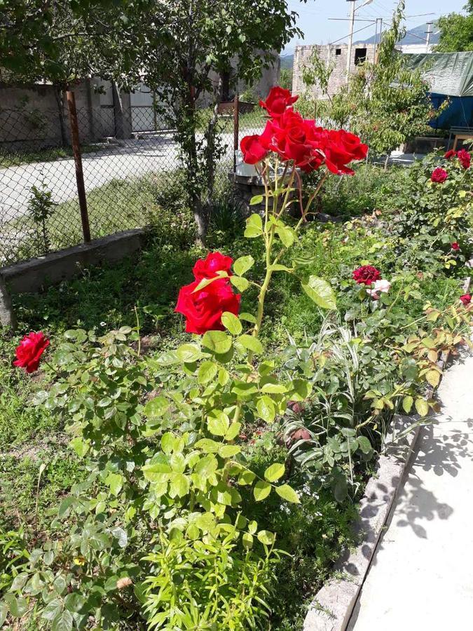 Green Dilijan B&B Exterior photo